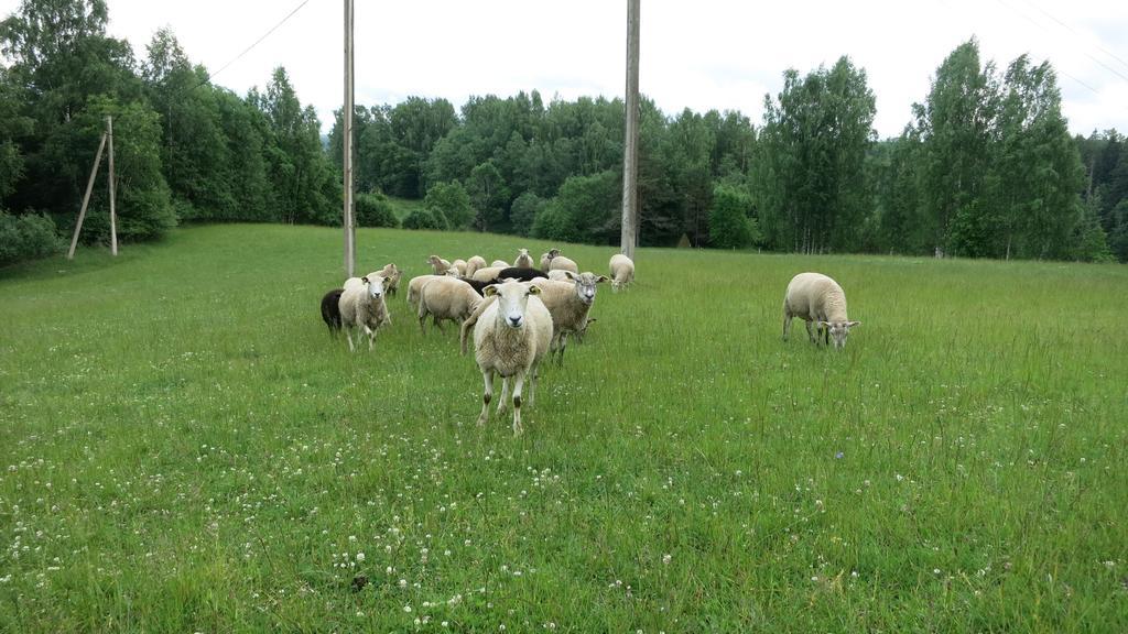 Villa Maee Farm Rõuge Esterno foto